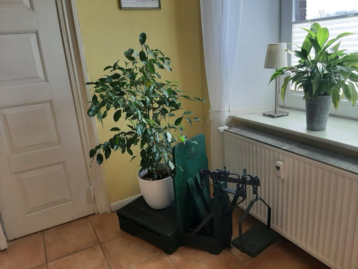 Schoene Ferienwohnung Im Alten Gasthaus In Stoltebuell エクステリア 写真
